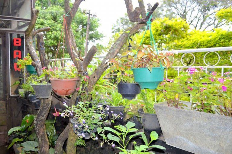 Highcliffe Guest House ハプタレー エクステリア 写真